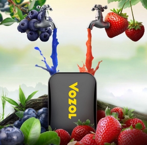 Merry Berries - VOZOL D2 одноразовая электронная сигарета