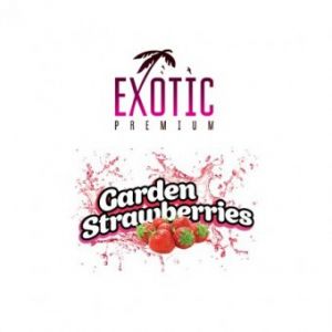Ароматизатор Exotic Premium Garden Strawberries купить за 155 руб