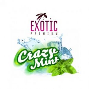 Ароматизатор Exotic Premium Crazy Mint купить за 155 руб