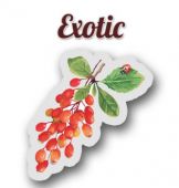 Ароматизатор Exotic Барбарис 10 мл