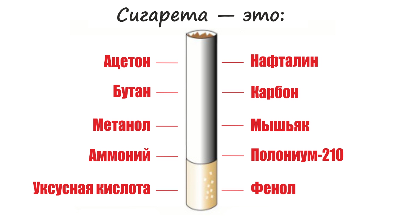 Сигарета из чего состоит схема